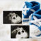 3_foto 160 160